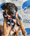 Marie bb4meses linda