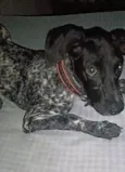 Kika