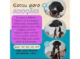 Pétra