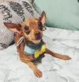 Bolt