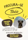 Theo