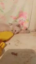 ...........