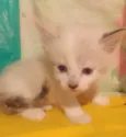 ............