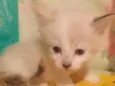 ............