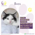 Boss