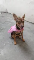 Kiara