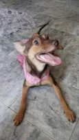 Kiara