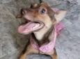 Kiara