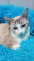 Jolie