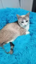 Jolie