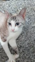 Jolie