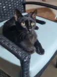 Bartolomeu