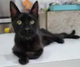 Bartolomeu