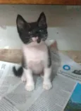 Thomas