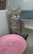 Nick