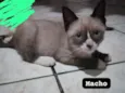 Sem nome
