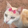 Nina