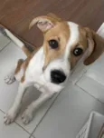 Betty