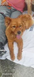 Bella
