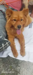 Bella