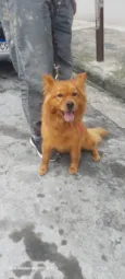Bella