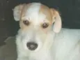 BRANQUINHO