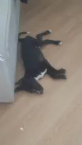 Zé