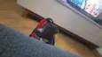 Zé