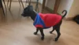 Zé