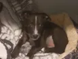 Zé