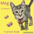 Meg