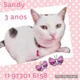 Sandy