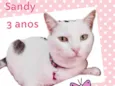 Sandy
