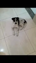 Bia