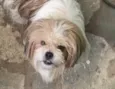 Billy 