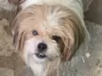 Billy 