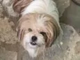 Billy 