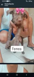 Tamara & Tamires
