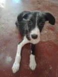 Tom