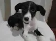 Tom