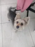 Slinky