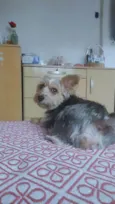 Slinky 