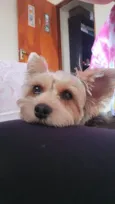 Slinky