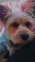 Slinky 