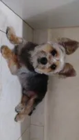 Slinky 