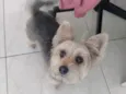 Slinky 
