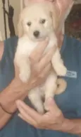 Cloe