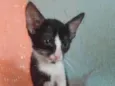 .........
