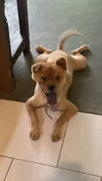 Tufão