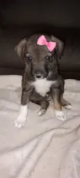 Eleanor